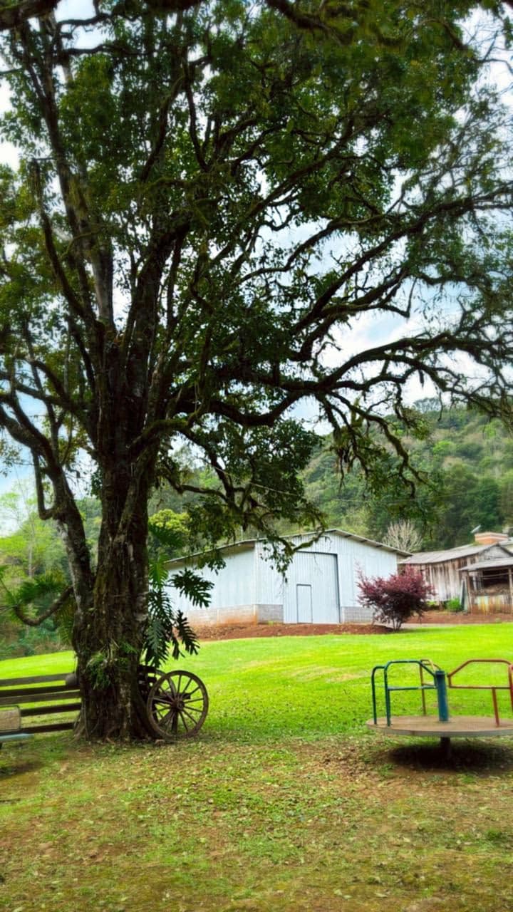 Foto 13 de Ecoparque Ogliari