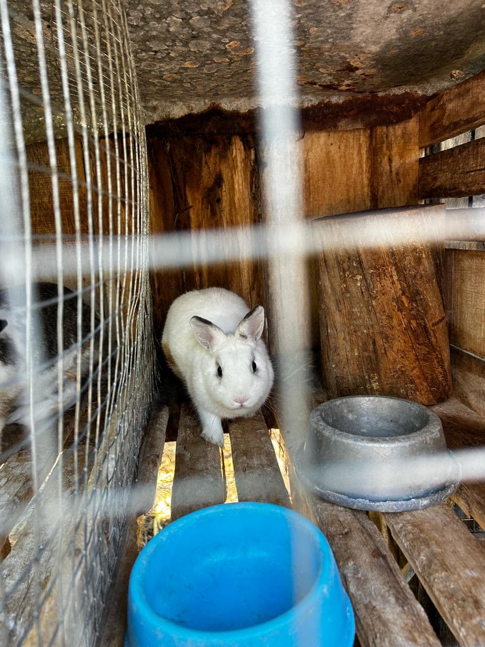 Foto 11 de Vale das Uvas Turismo Rural