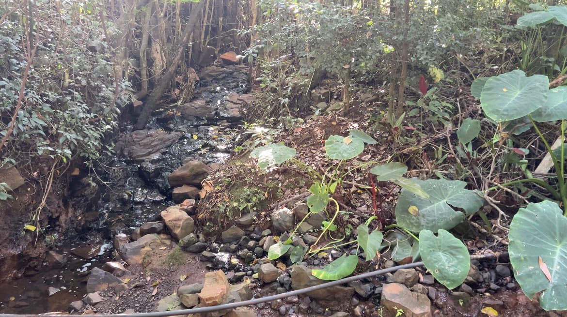 Foto 15 de Pousada das Nogueiras