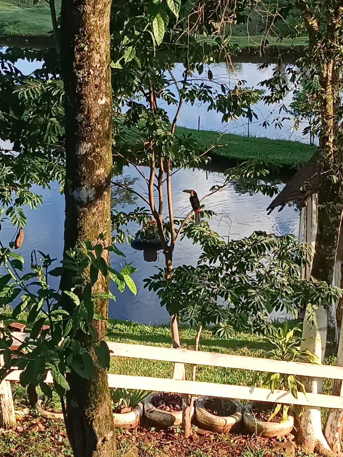 Foto 2 de Granja Pesque Pague Guralski