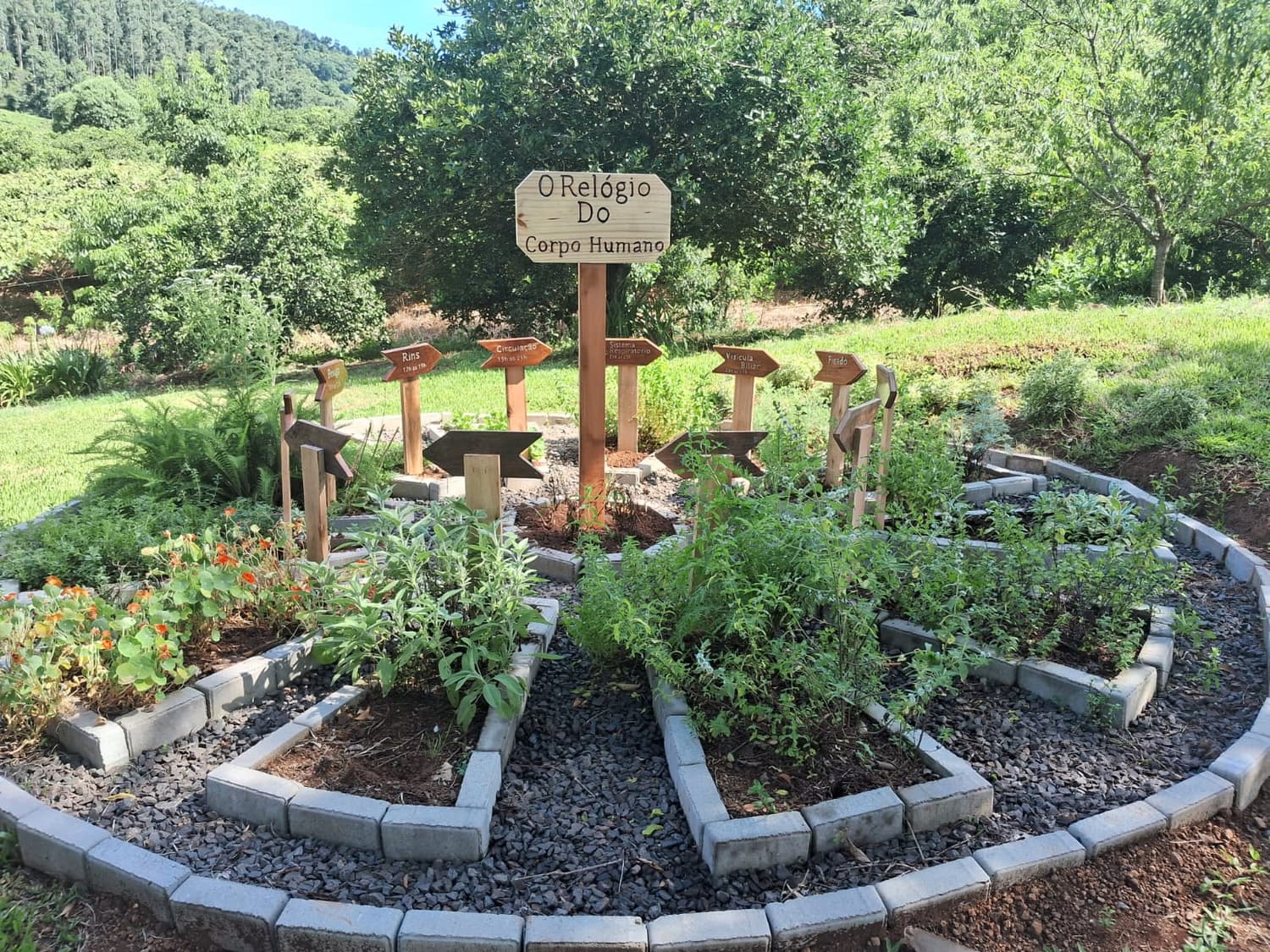 Foto 3 de Vale das Uvas Turismo Rural