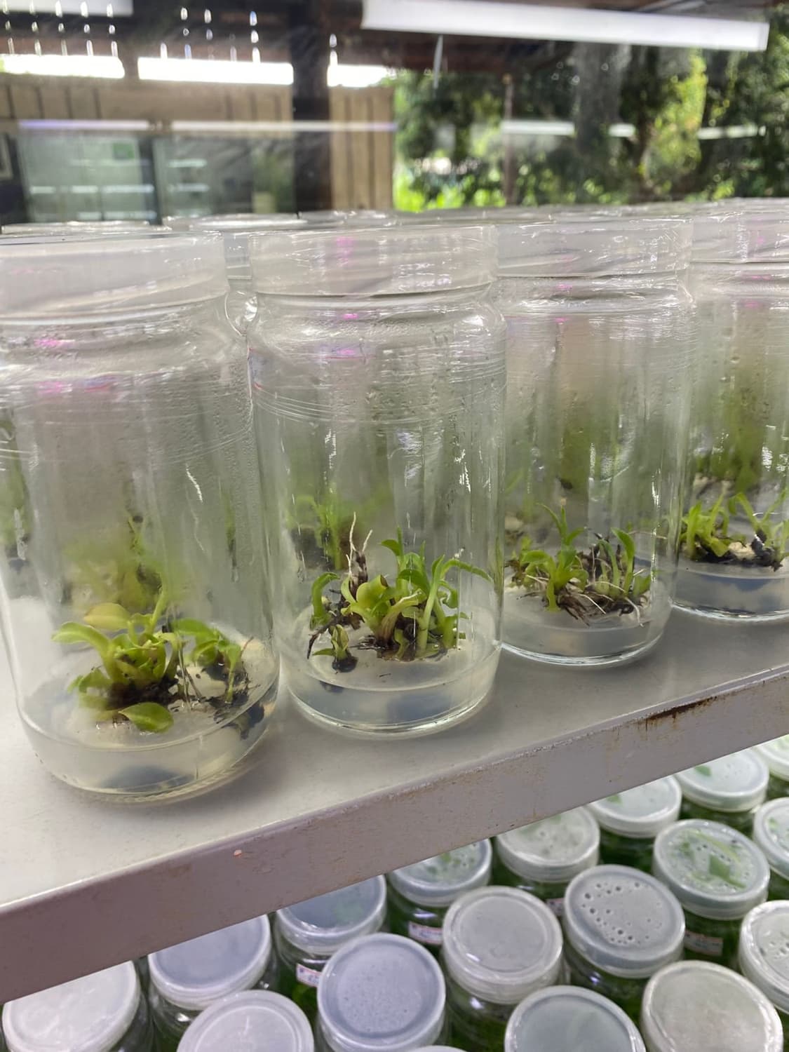 Foto 2 de Biofábrica Cooper Extremo Norte - Alpestre