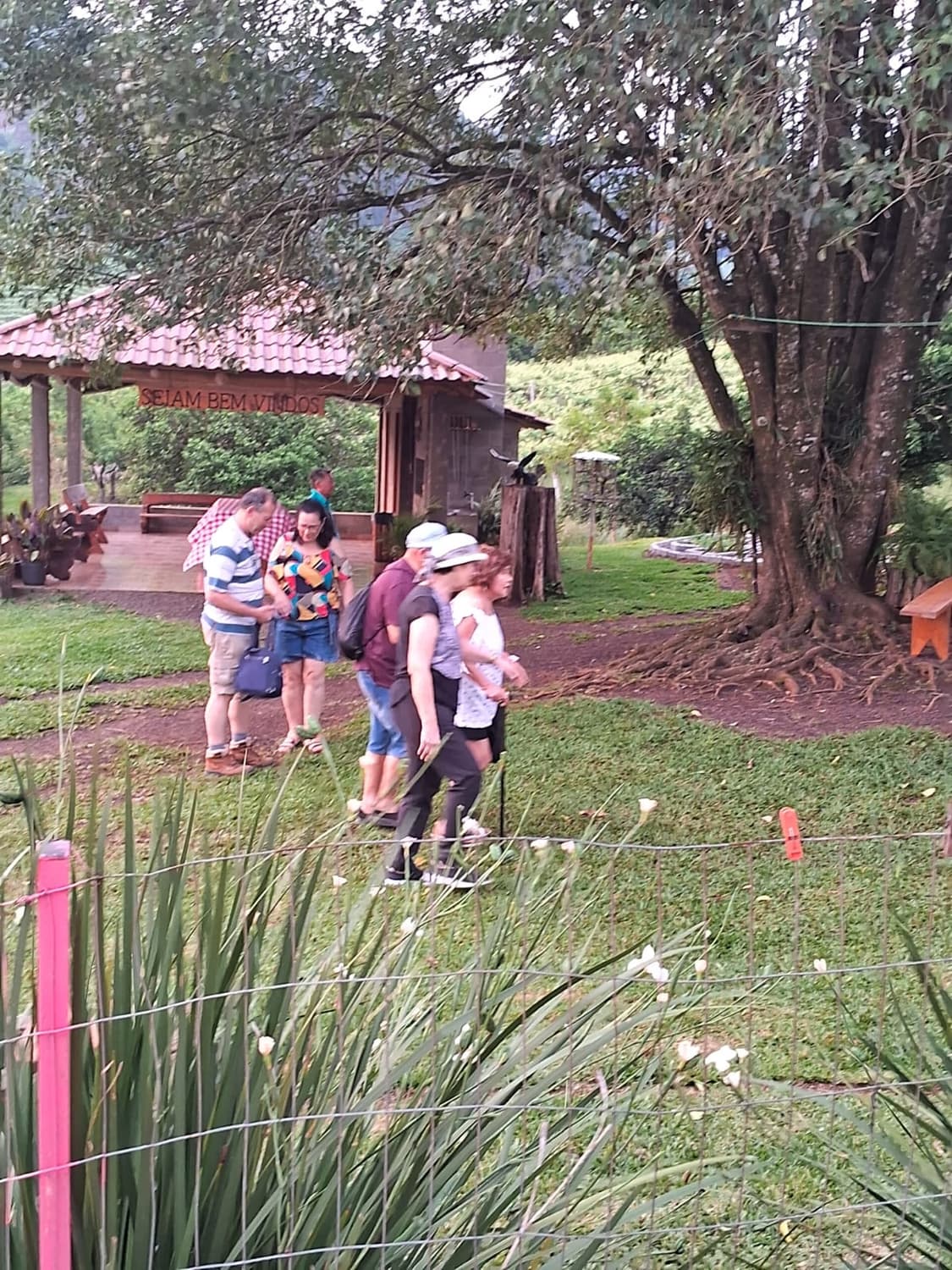 Foto 2 de Vale das Uvas Turismo Rural