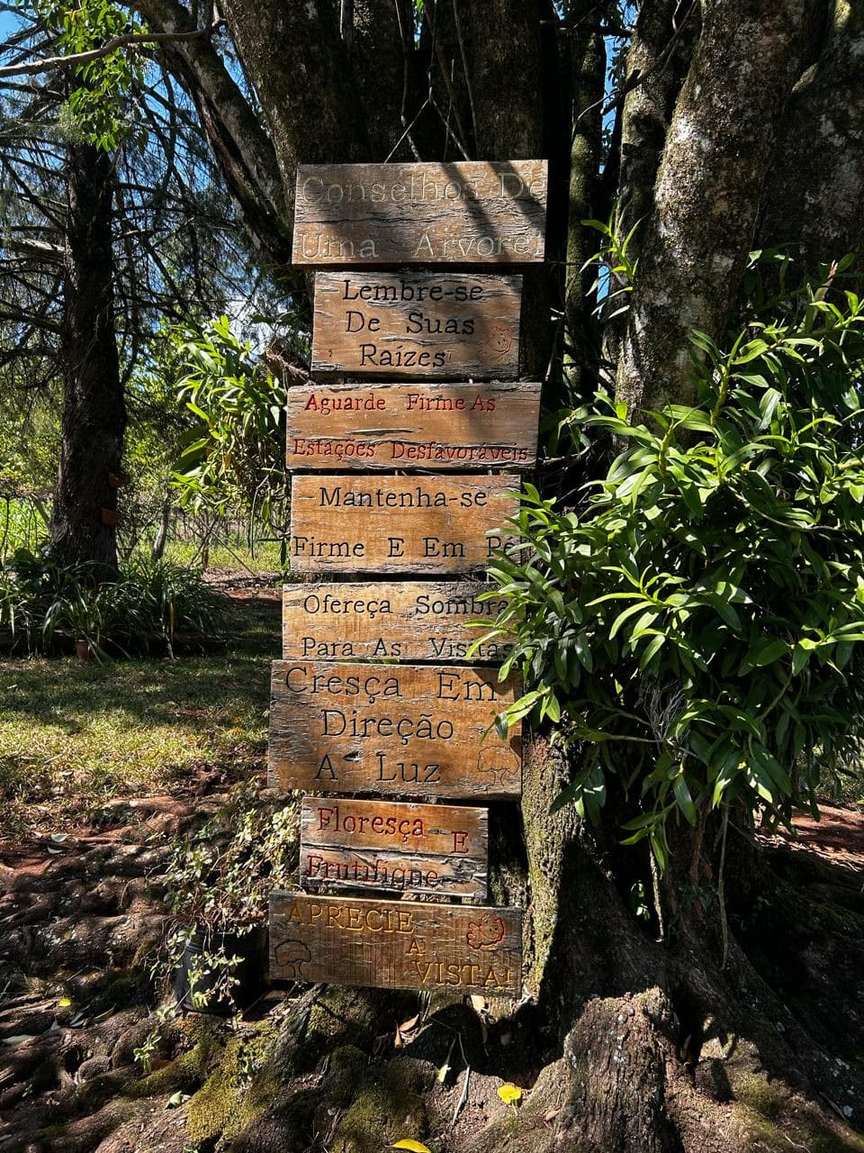 Foto 9 de Vale das Uvas Turismo Rural