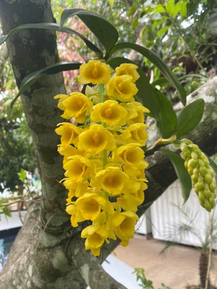 Foto 12 de Biofábrica Cooper Extremo Norte - Alpestre