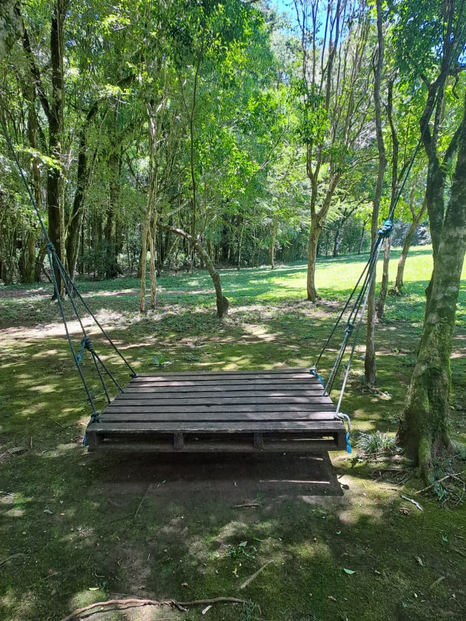 Foto 2 de Ecoparque Ogliari