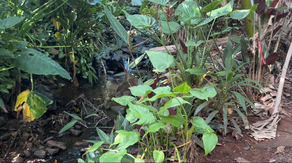 Foto 14 de Pousada das Nogueiras