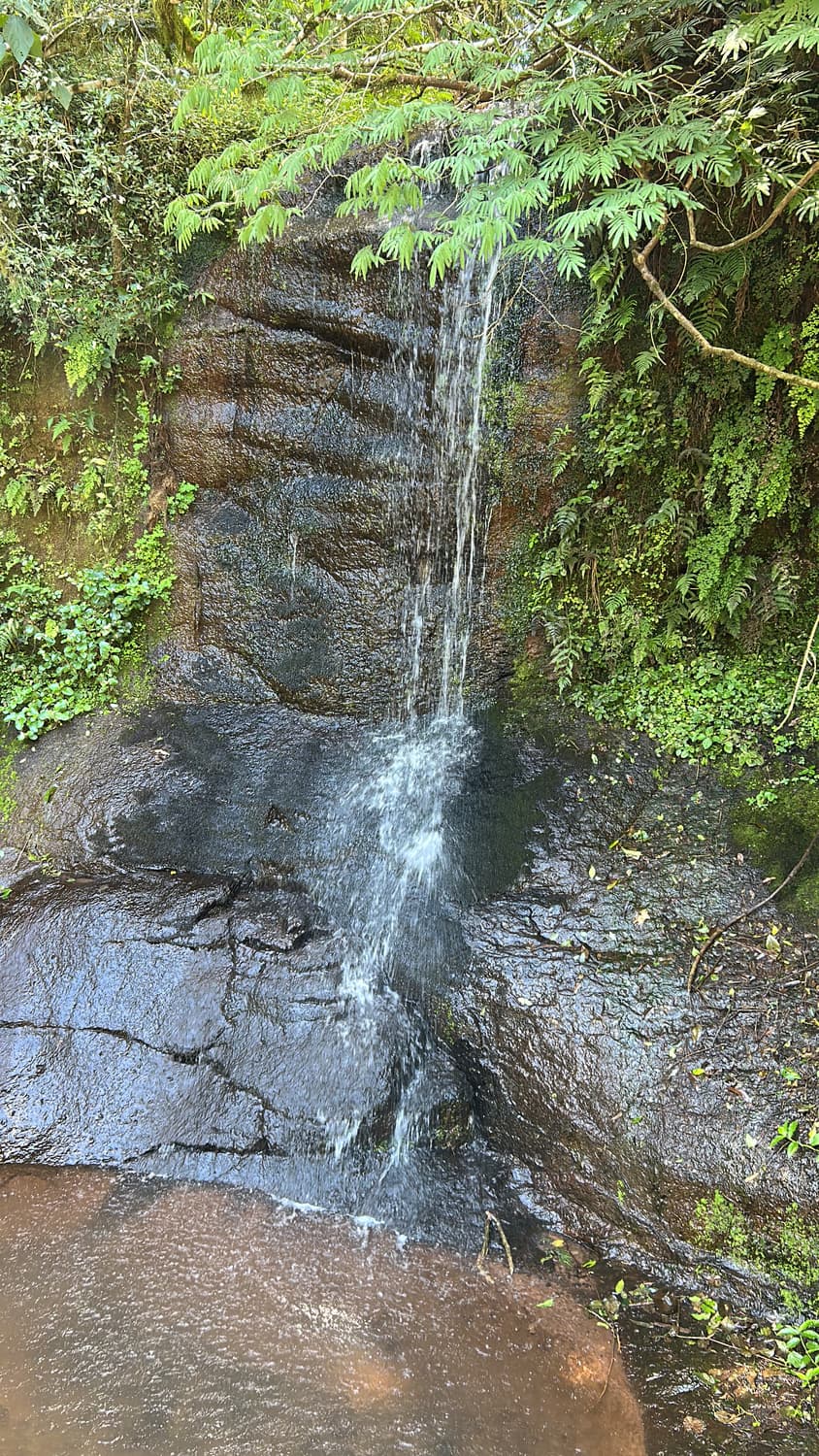 Foto 7 de Camping do Vale