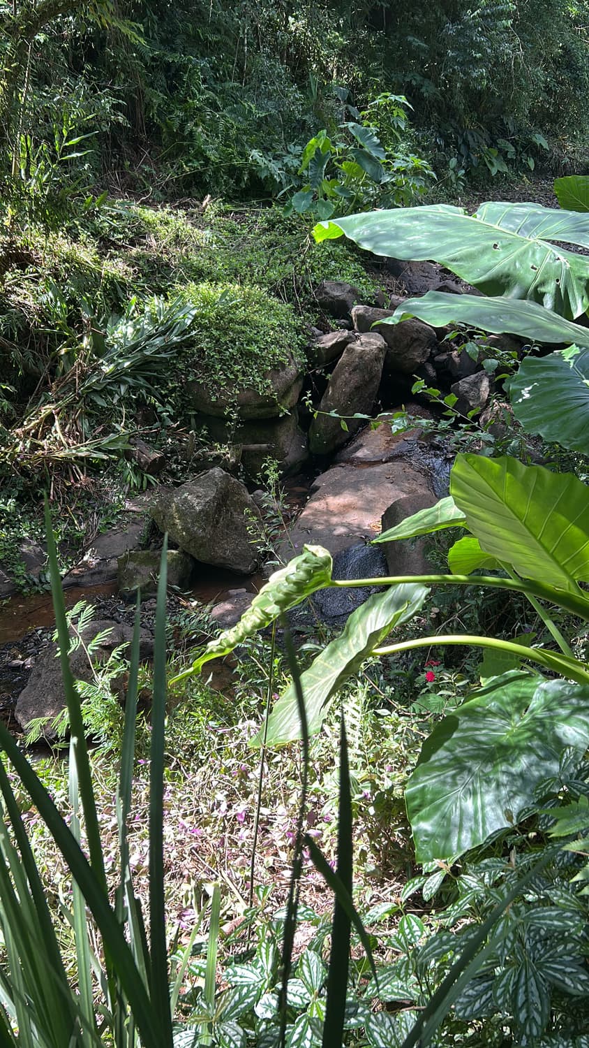 Foto 2 de Camping do Vale