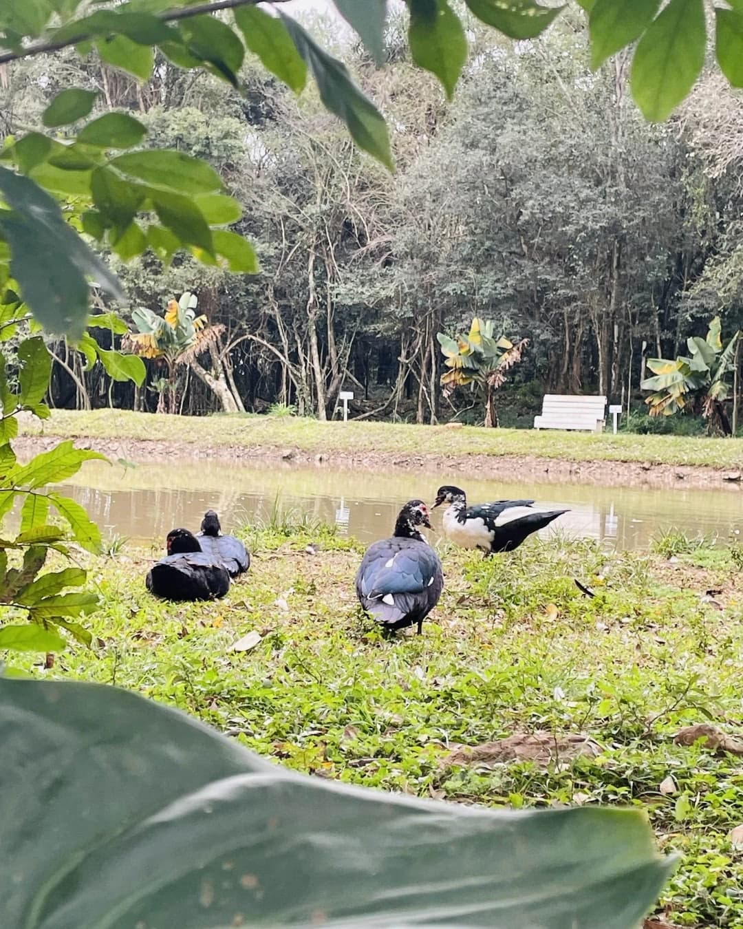 Foto 22 de Pousada Chácara Paraíso