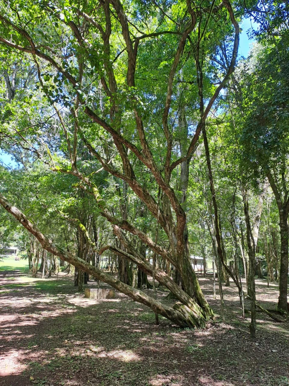 Foto 5 de Ecoparque Ogliari