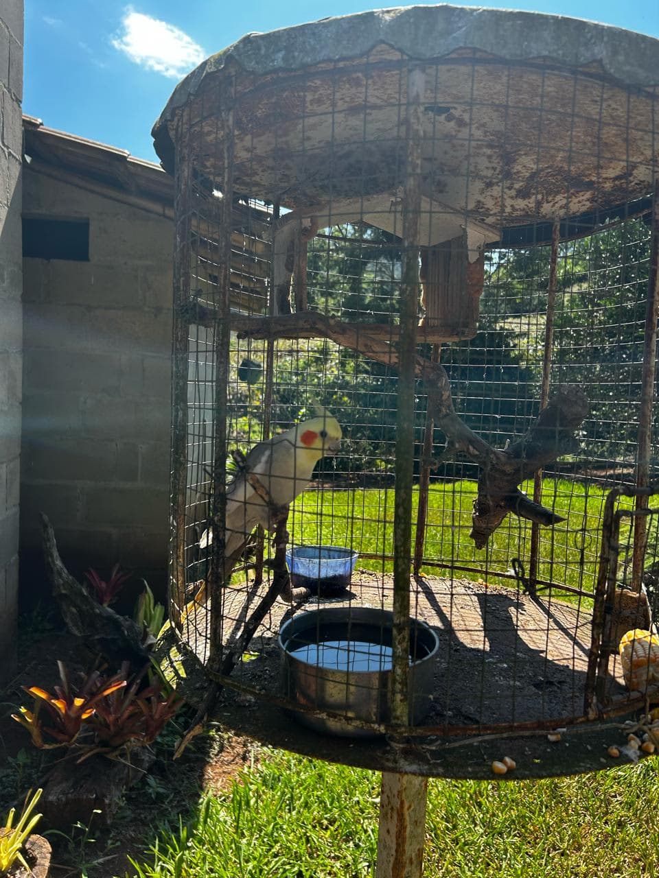 Foto 10 de Vale das Uvas Turismo Rural