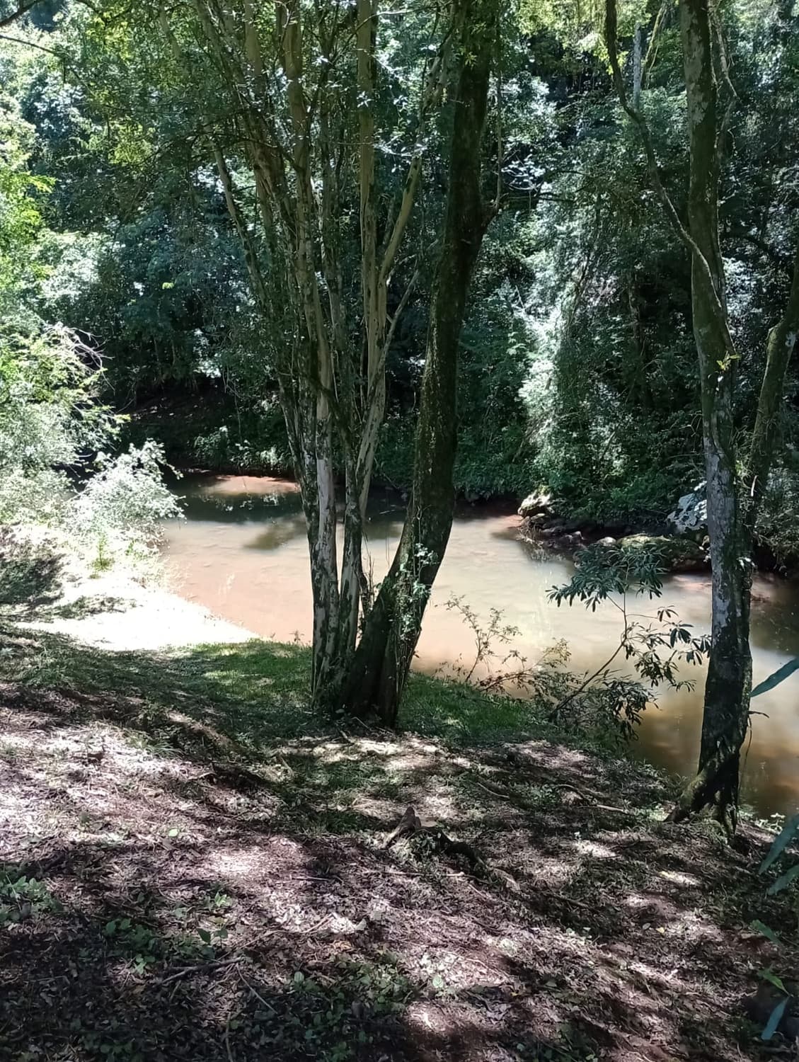 Foto 2 de Camping Recanto da Natureza