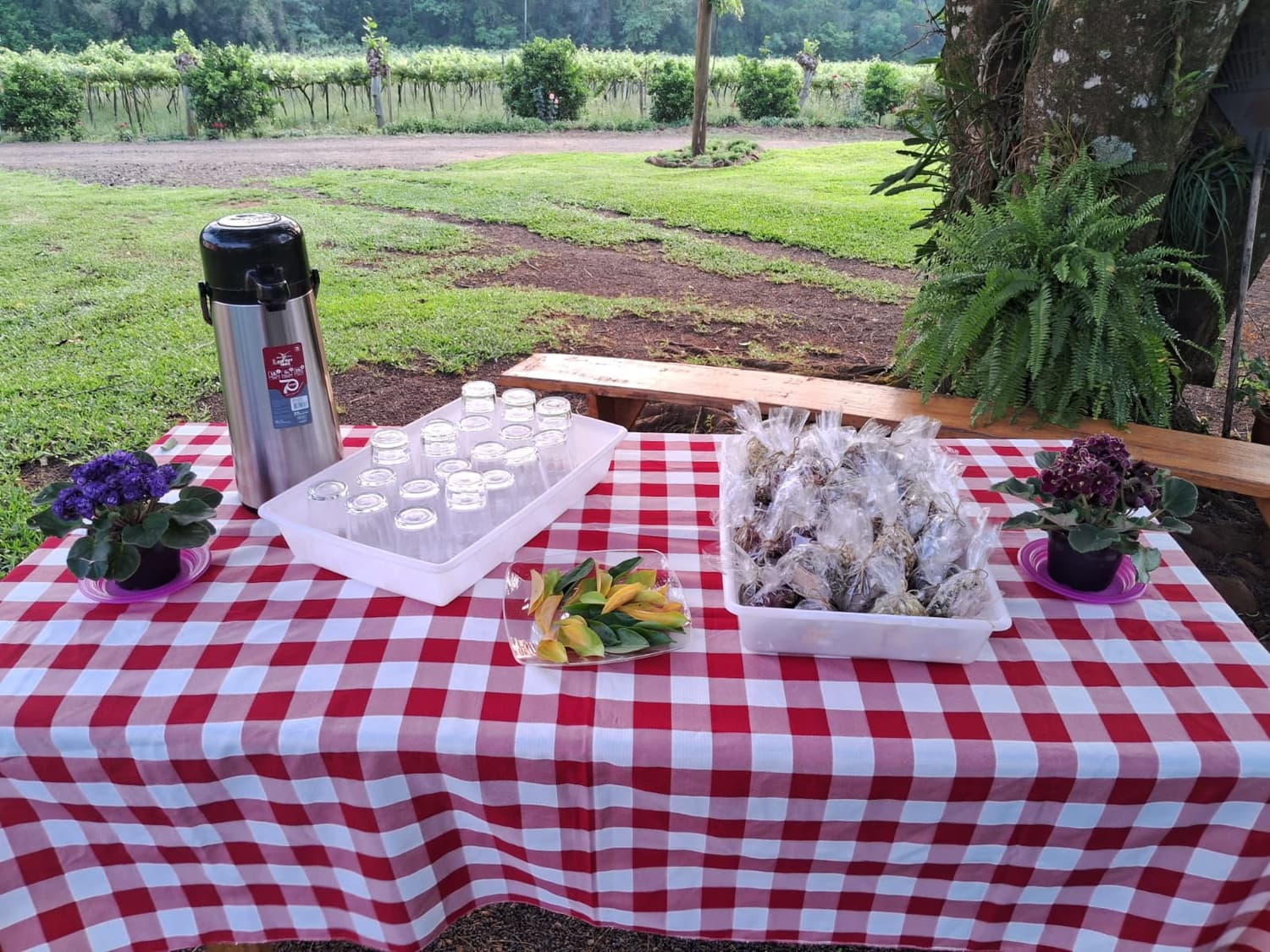 Foto 7 de Vale das Uvas Turismo Rural