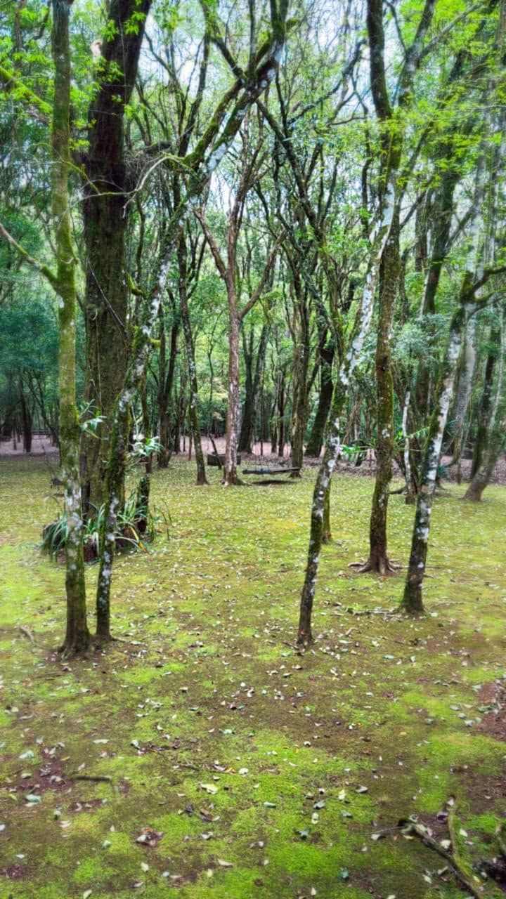 Foto 4 de Ecoparque Ogliari